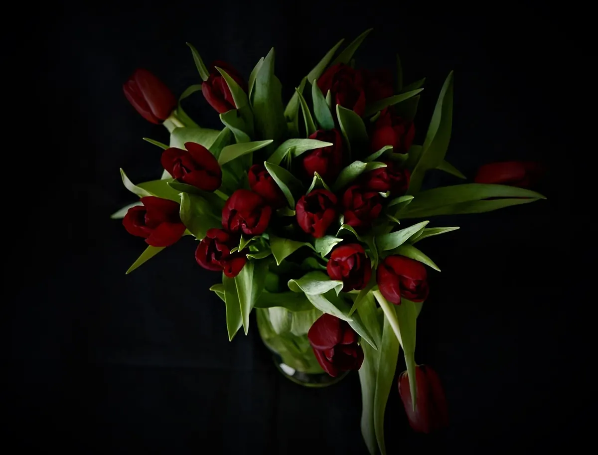 The Complete Tulip Care Checklist for Cut Flowers
