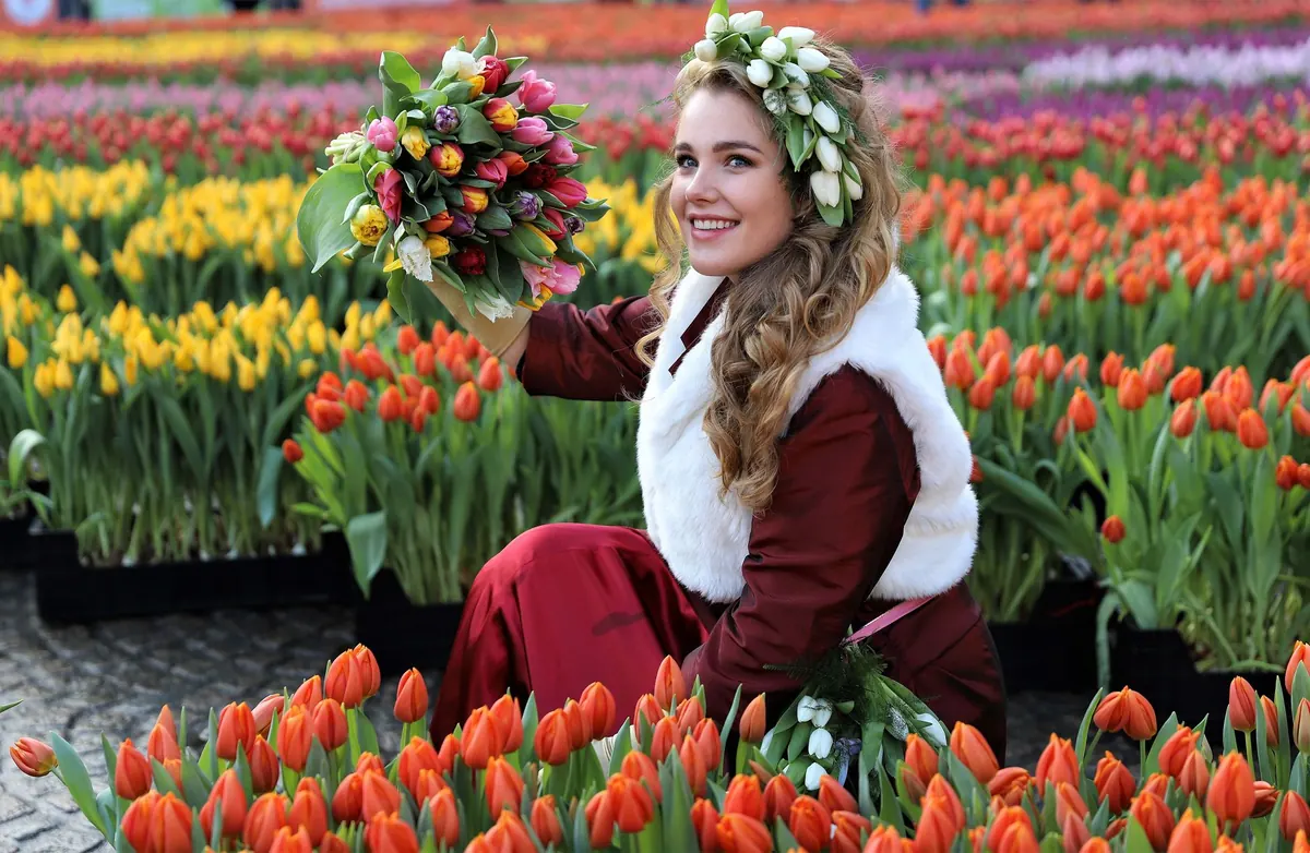 Tulip Festivals in the UK: A 2025 Guide to the Best Events